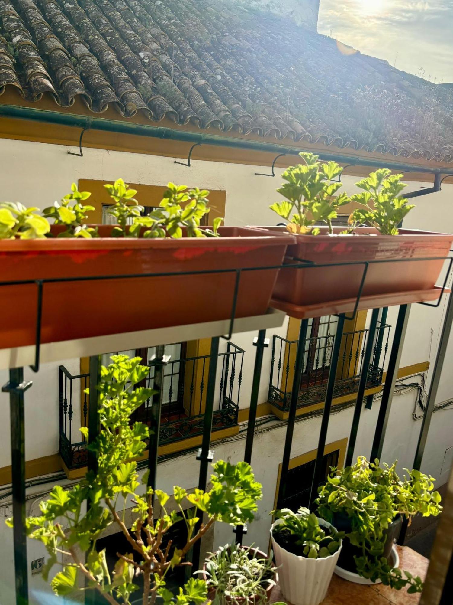 Apartament La Buganvilla De Santiago