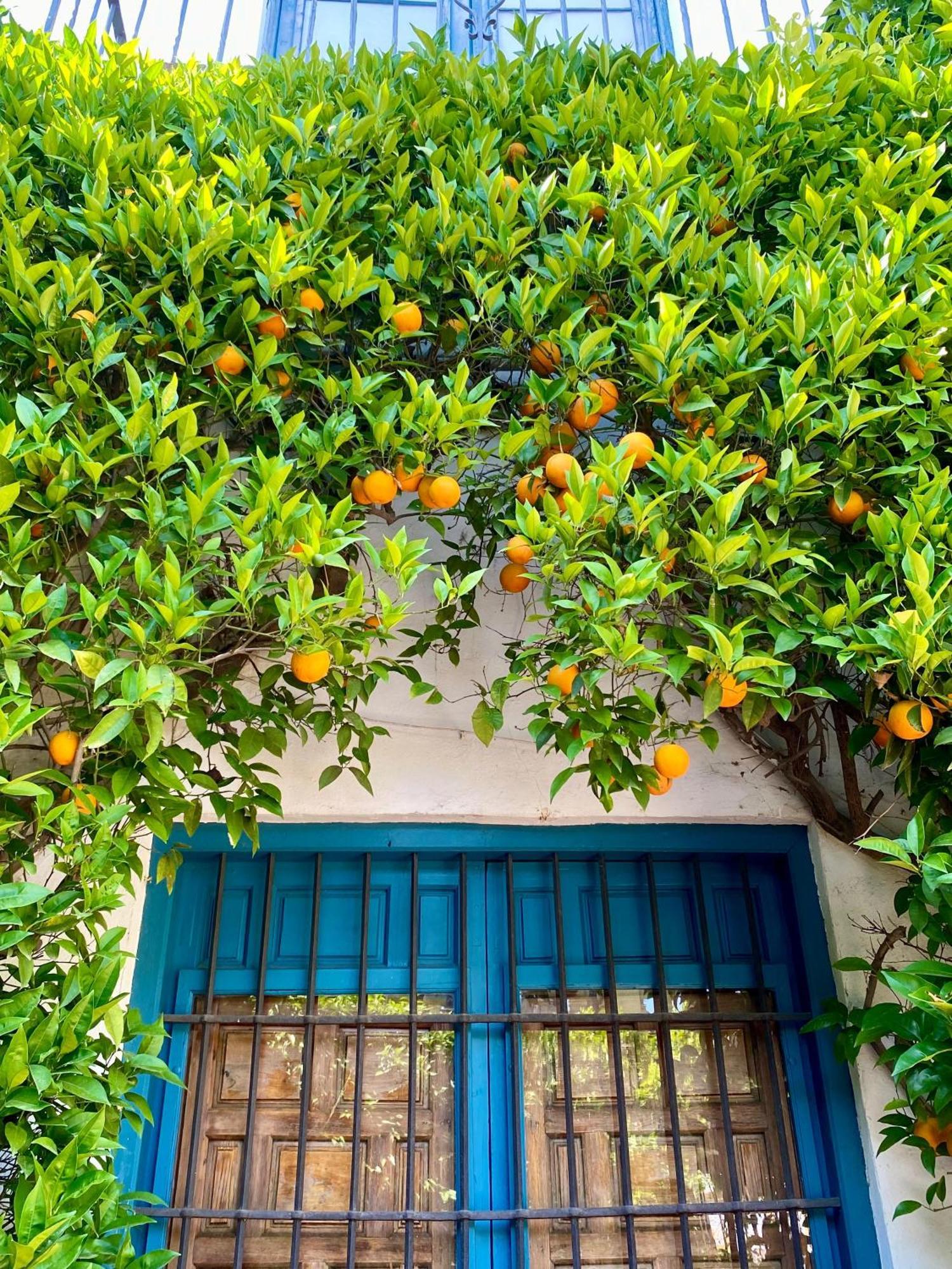 La Buganvilla De Santiago Appartement