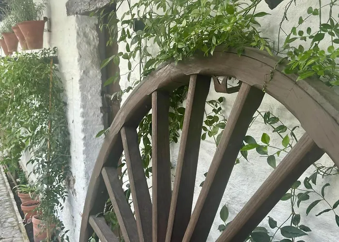 La Buganvilla De Santiago